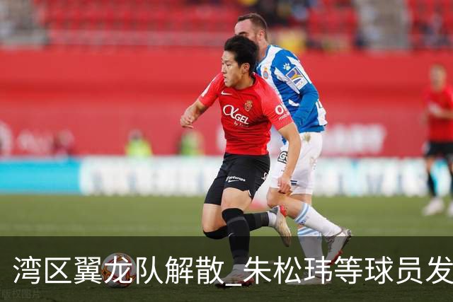 湾区翼龙队解散 朱松玮等球员发布声明维权